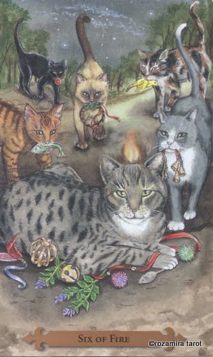 Mystical Cats Tarot